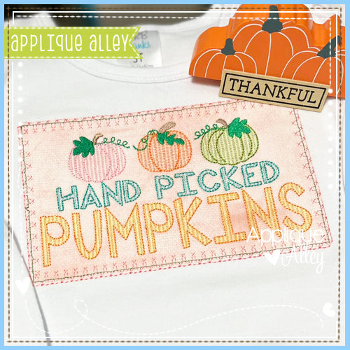 SCRATCHY HAND PICKED PUMPKINS RECTANGLE 7515AAEH
