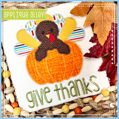 ZZ BABY TURKEY IN PUMPKIN AAEH8942